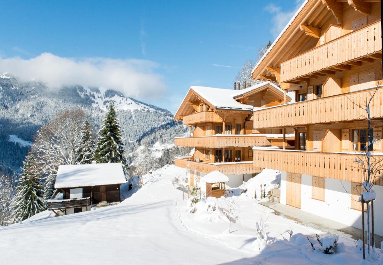 Panoramapark Soleil Chalet B Wengen Exterior foto